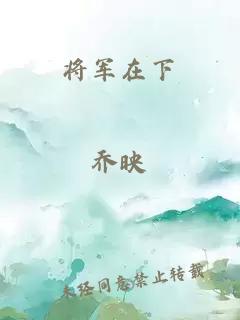 将军在下