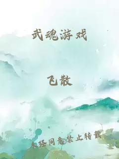 武魂游戏