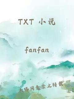 TXT 小说