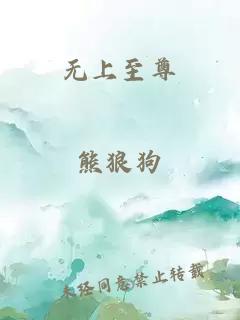 无上至尊