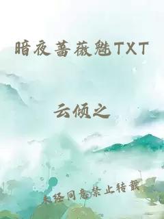 暗夜蔷薇魅TXT