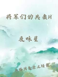 将军们的共妻H