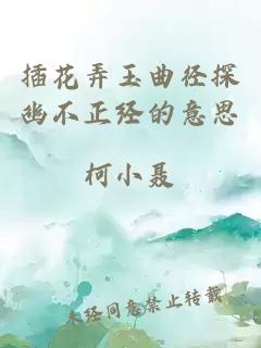 插花弄玉曲径探幽不正经的意思