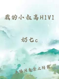 我的小叔高H1V1