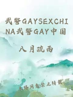 武警GAYSEXCHINA武警GAY中国