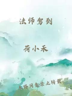 法师驾到