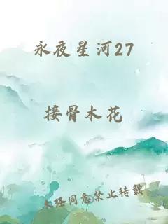 永夜星河27