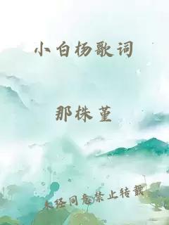 小白杨歌词