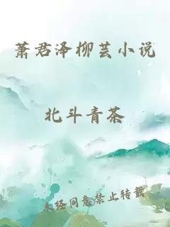 萧君泽柳芸小说