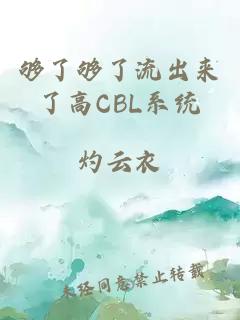 够了够了流出来了高CBL系统