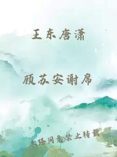 王东唐潇