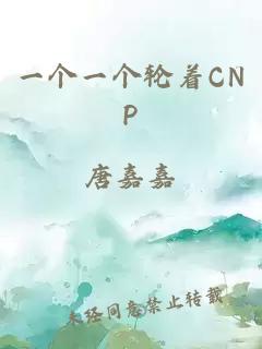 一个一个轮着CNP