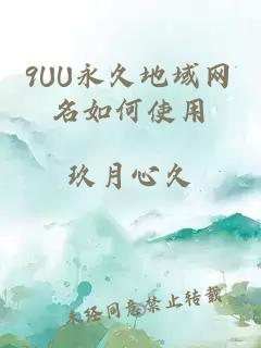 9UU永久地域网名如何使用