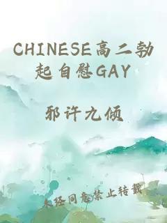 CHINESE高二勃起自慰GAY