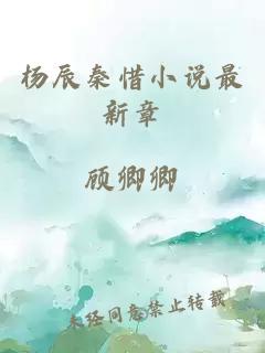 杨辰秦惜小说最新章