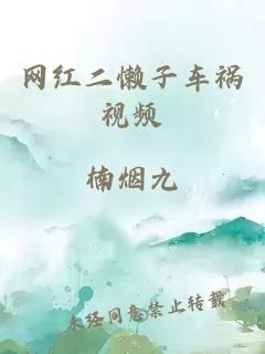 网红二懒子车祸视频