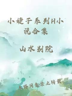 小婕子系列H小说合集