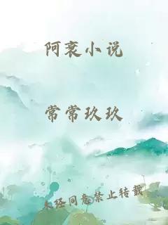 阿衰小说