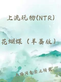 上流玩物(NTR)