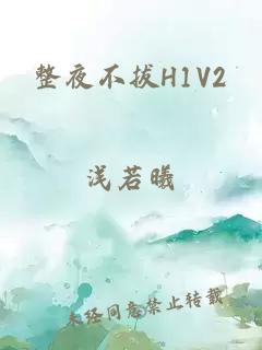 整夜不拔H1V2